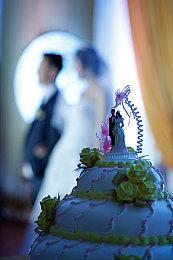 休闲游戏《狗狗摄影师》1月21日发售 支持简体中文